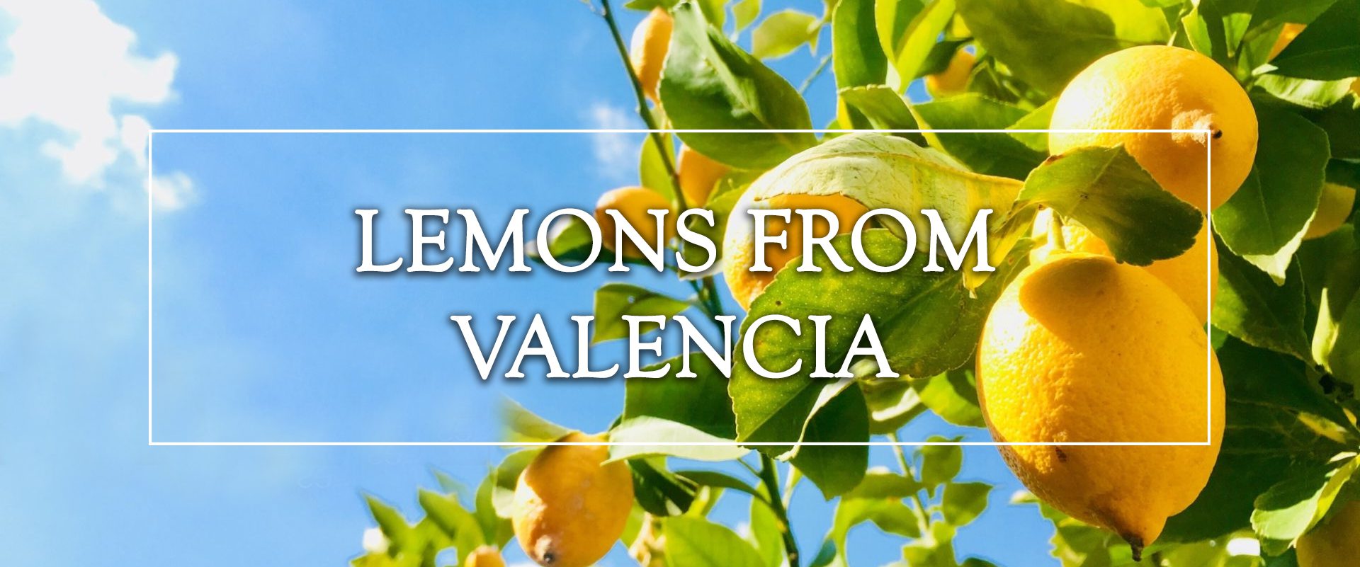 lemons from Valencia